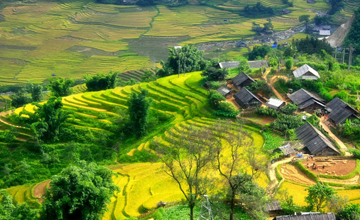 Những câu chuyện ở máy đếm tiền Balion (phần 1)